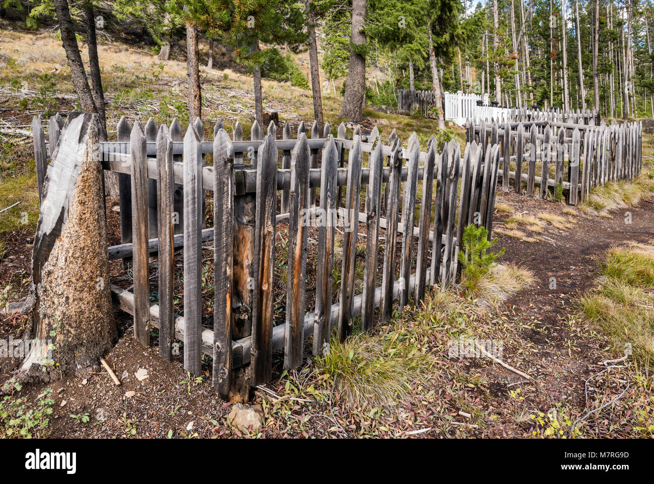 Cimetière de Custer City ville fantôme, Yankee Fork de la rivière Salmon, Custer Road, Salmon-Challis Aventure Autoroute National Forest, North Carolina, USA Banque D'Images