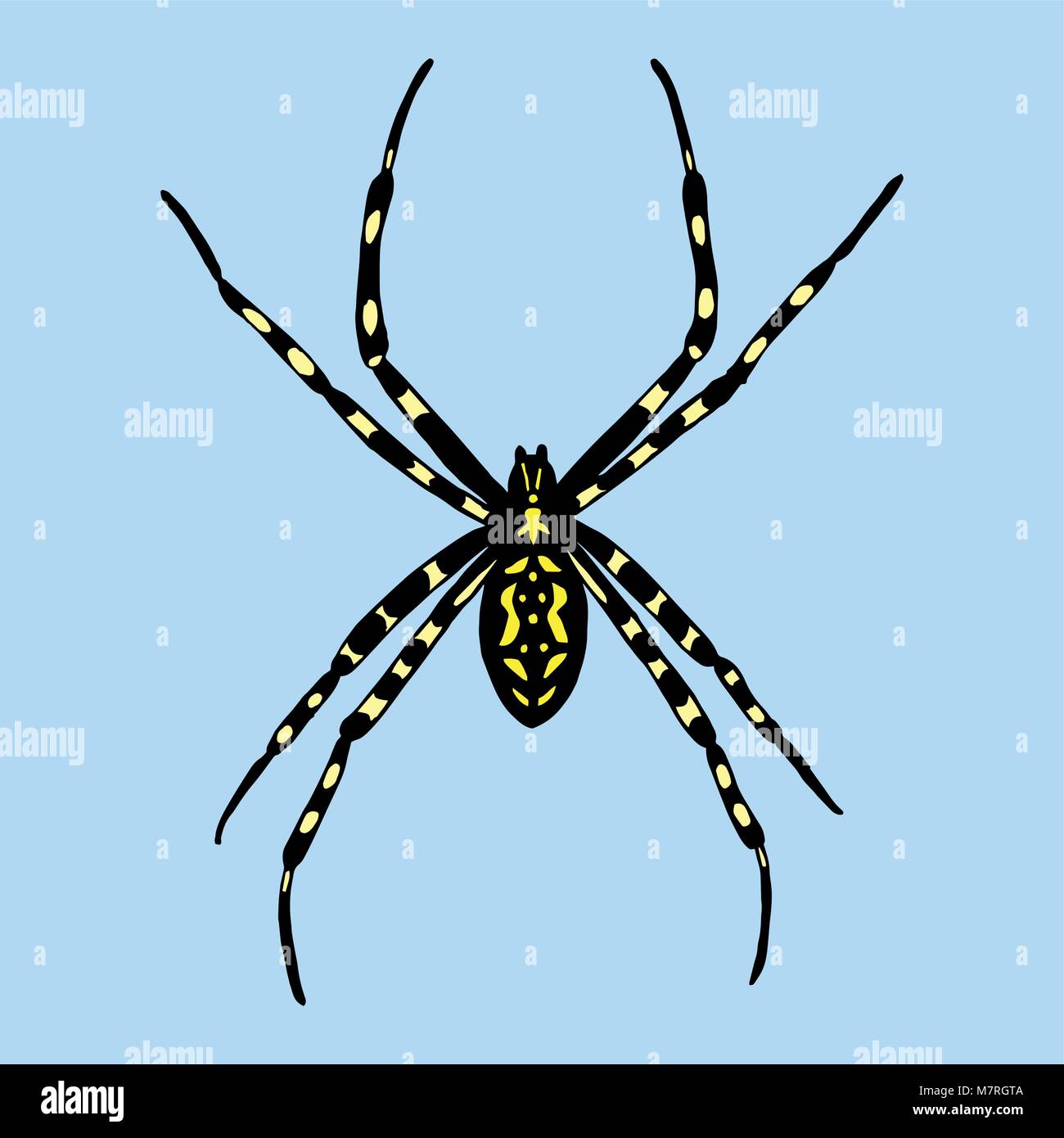 Vector illustration d'araignée. Argiope bruennichi sur fond bleu Illustration de Vecteur