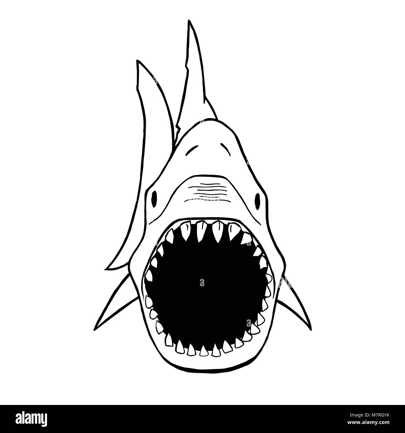 Vector illustration of shark silhouette. Requin vecteur vue d'en haut. Illustration de Vecteur