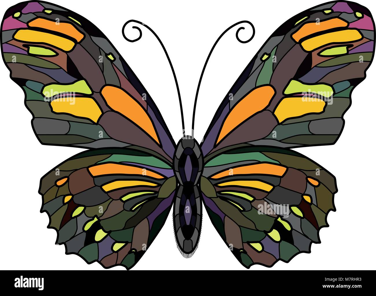Illustration de papillon sur fond blanc Illustration de Vecteur