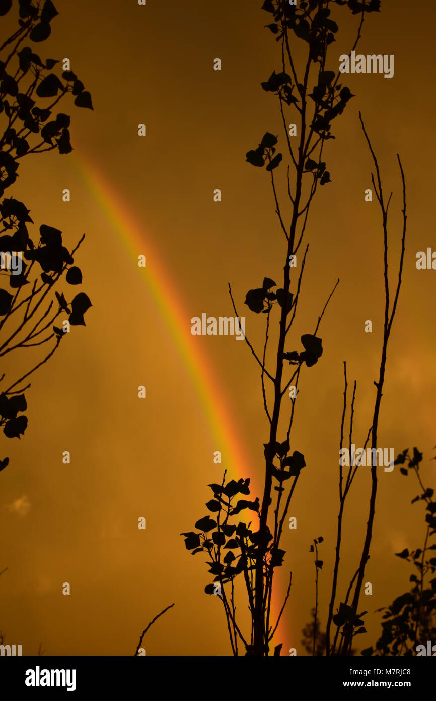 Dans l'arc-en-ciel après une forte tempête à l'automne le soleil Banque D'Images