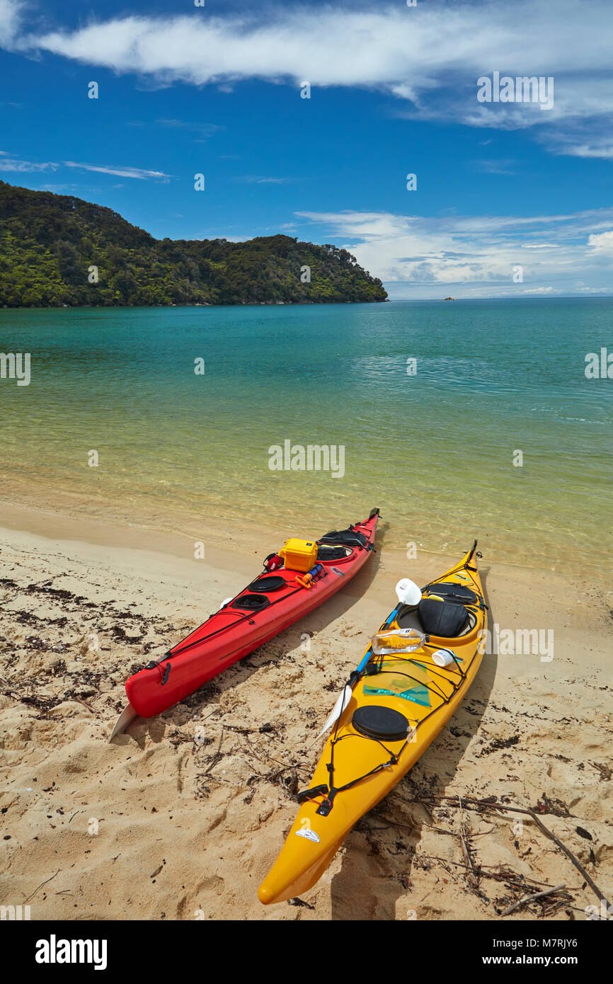 Kayaks, écorce Bay, parc national Abel Tasman, région de Nelson, île du Sud, Nouvelle-Zélande Banque D'Images