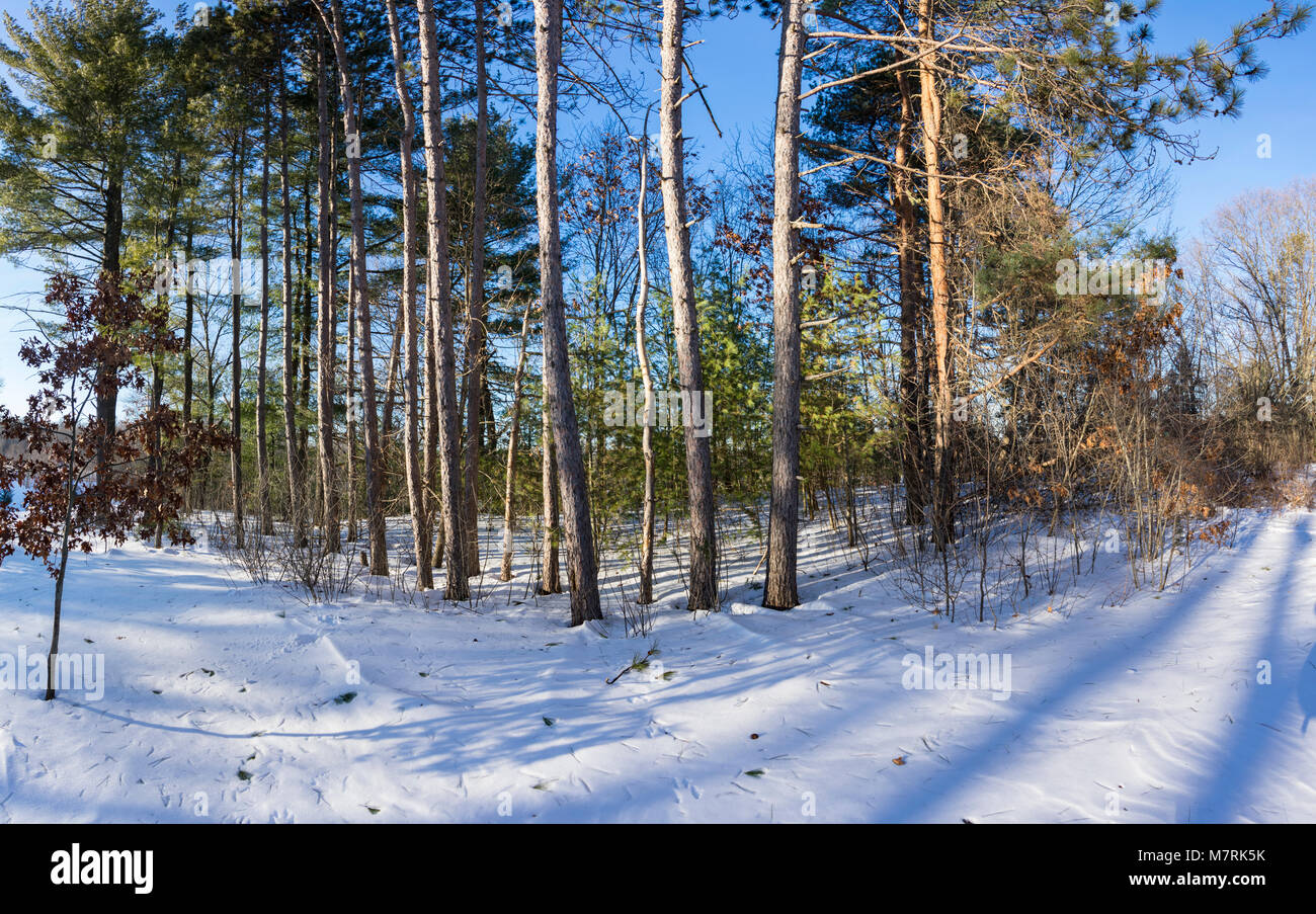 DSC 0100D3400Une Minute Man National Historical Park ©2018 Paul Light Banque D'Images