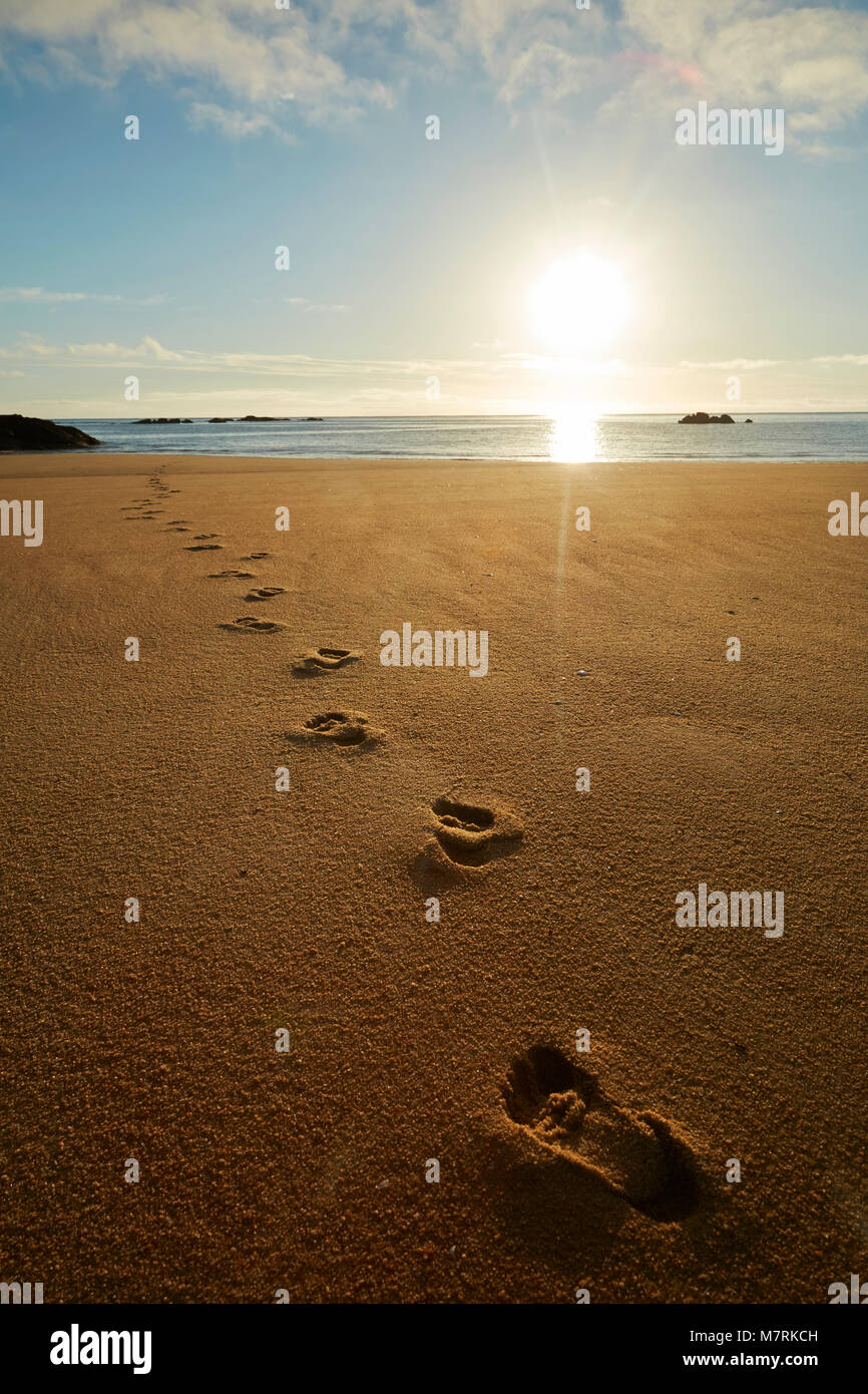 Empreintes de pieds dans le sable au lever du soleil, la baie des moustiques, Abel Tasman National Park, région de Nelson, île du Sud, Nouvelle-Zélande Banque D'Images