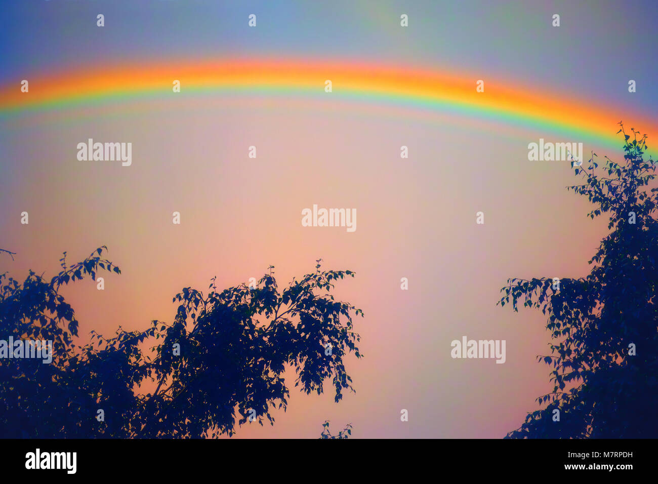 Arc-en-ciel sur ciel bleu. Phénomène naturel. Banque D'Images