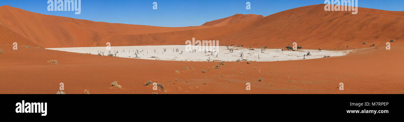 Vue de la ville pittoresque de Deadvlei entouré par d'énormes dunes de sable brun rouge. Gros sel et d'argile avec pan ded tressé acacias. Namib, Sossusvlei, Deadvle Banque D'Images