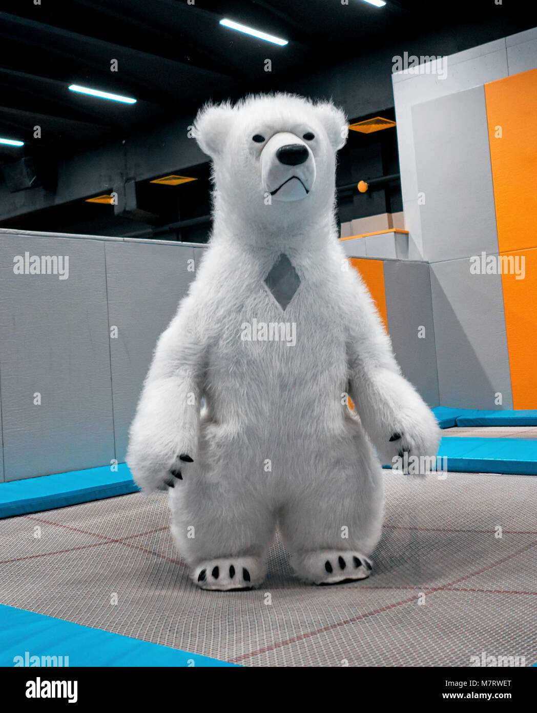 Ours polaire sur le trampoline Photo Stock - Alamy