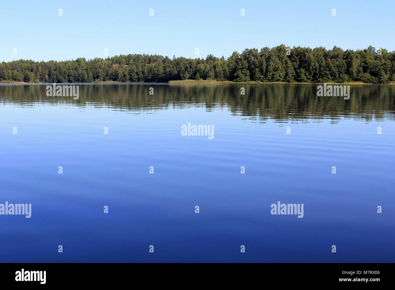 Un Brukstrasket Landcape du bleu du lac, forêt et ciel bleu à Mustio, en Finlande. Convient pour différents, de l'espace pour le texte. Banque D'Images