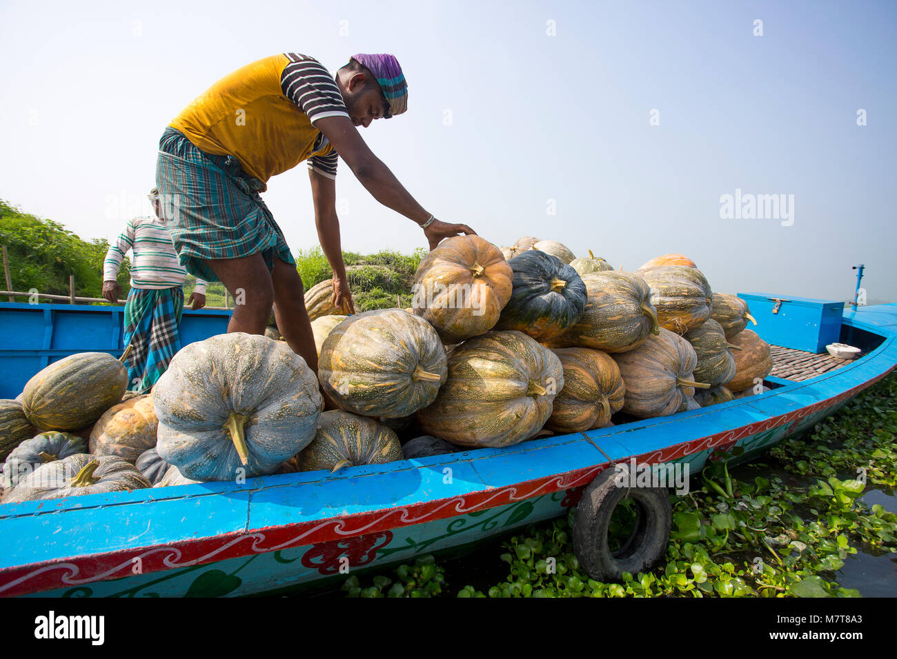 Les citrouilles sont chargement sur le bateau en Arial Beel, Munshigonj, au Bangladesh. Banque D'Images