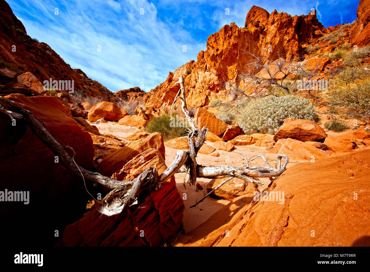 De belles formations de roche de grès érodées dans la Vallée de Feu du Nevada State Park Banque D'Images