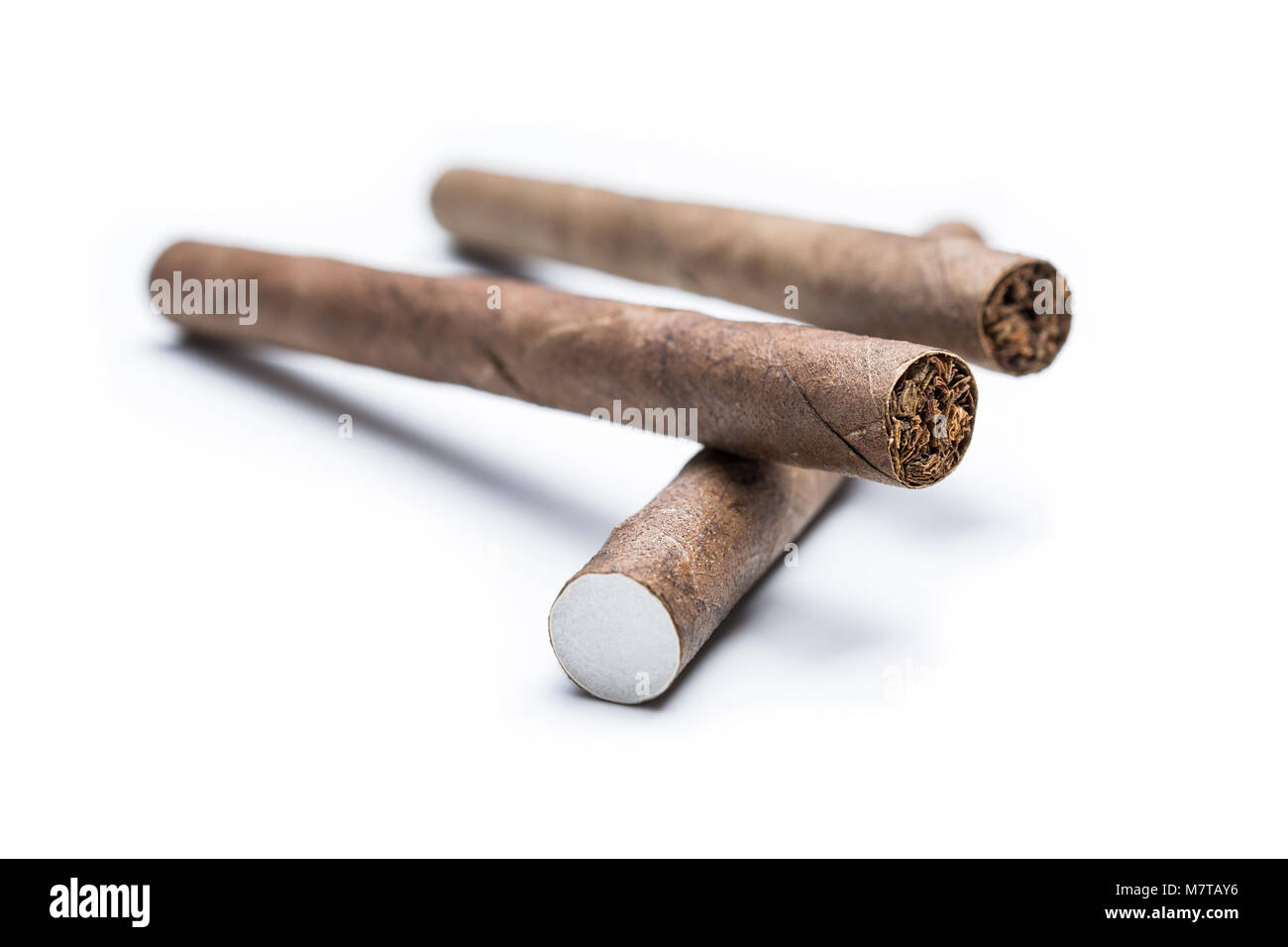Macro De Deux Cigarillos Sur Un Seul Cigarillo Isole Sur Fond Blanc Photo Stock Alamy