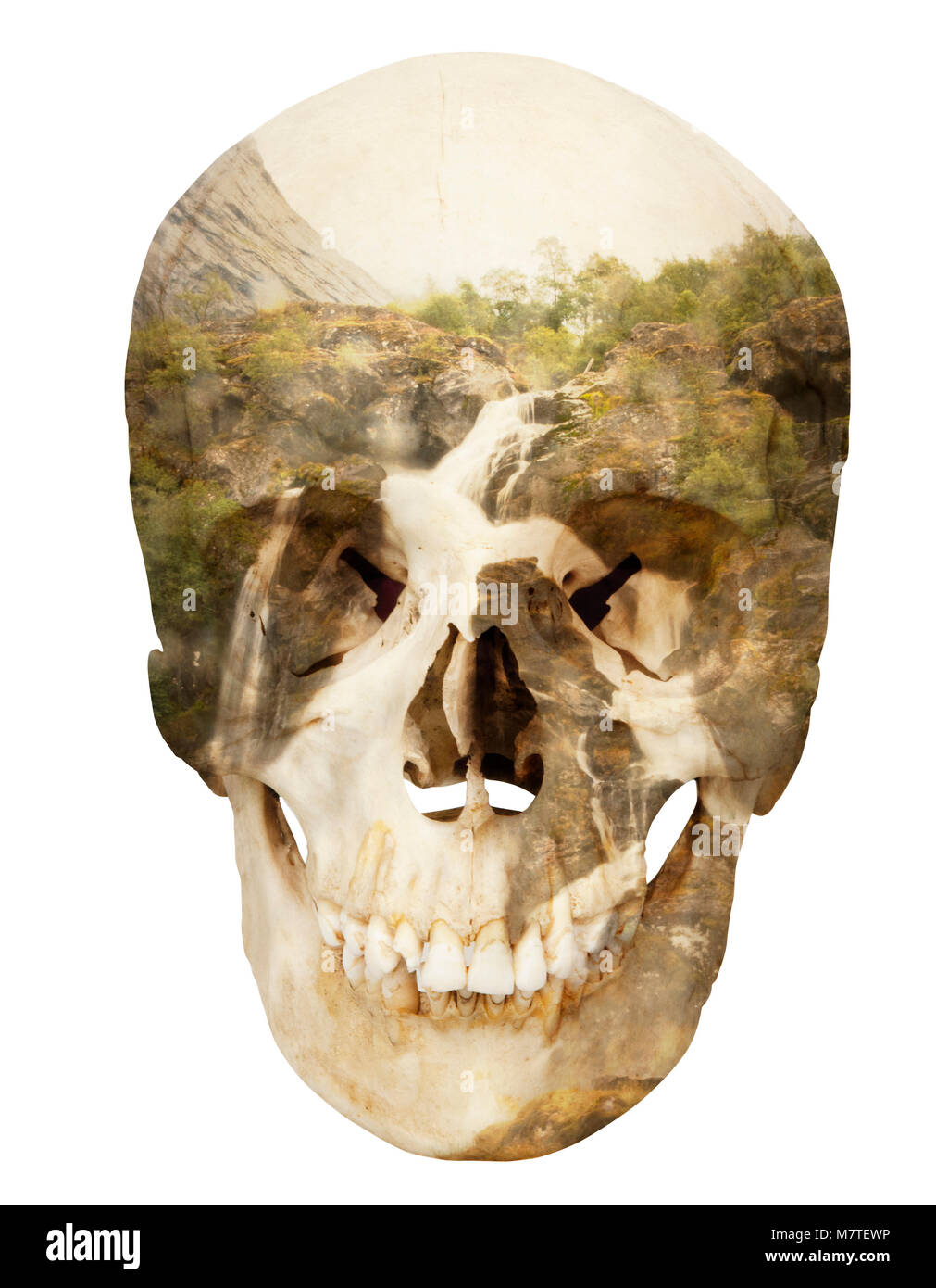 Montage photo conceptuelle représentant une tête de mort, la mort, la montagne, cascade sur un fond blanc. Banque D'Images Montage photo conceptuelle représentant une tête de mort, la mort, la montagne, cascade sur un fond blanc. Banque D'Images