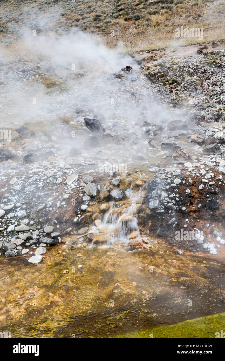 Sunbeam Hot Springs la vapeur dans la vallée de la rivière Salmon, terre des Yankee Fork, près de Sunbeam, Salmon River Scenic Byway, l'Idaho, USA Banque D'Images