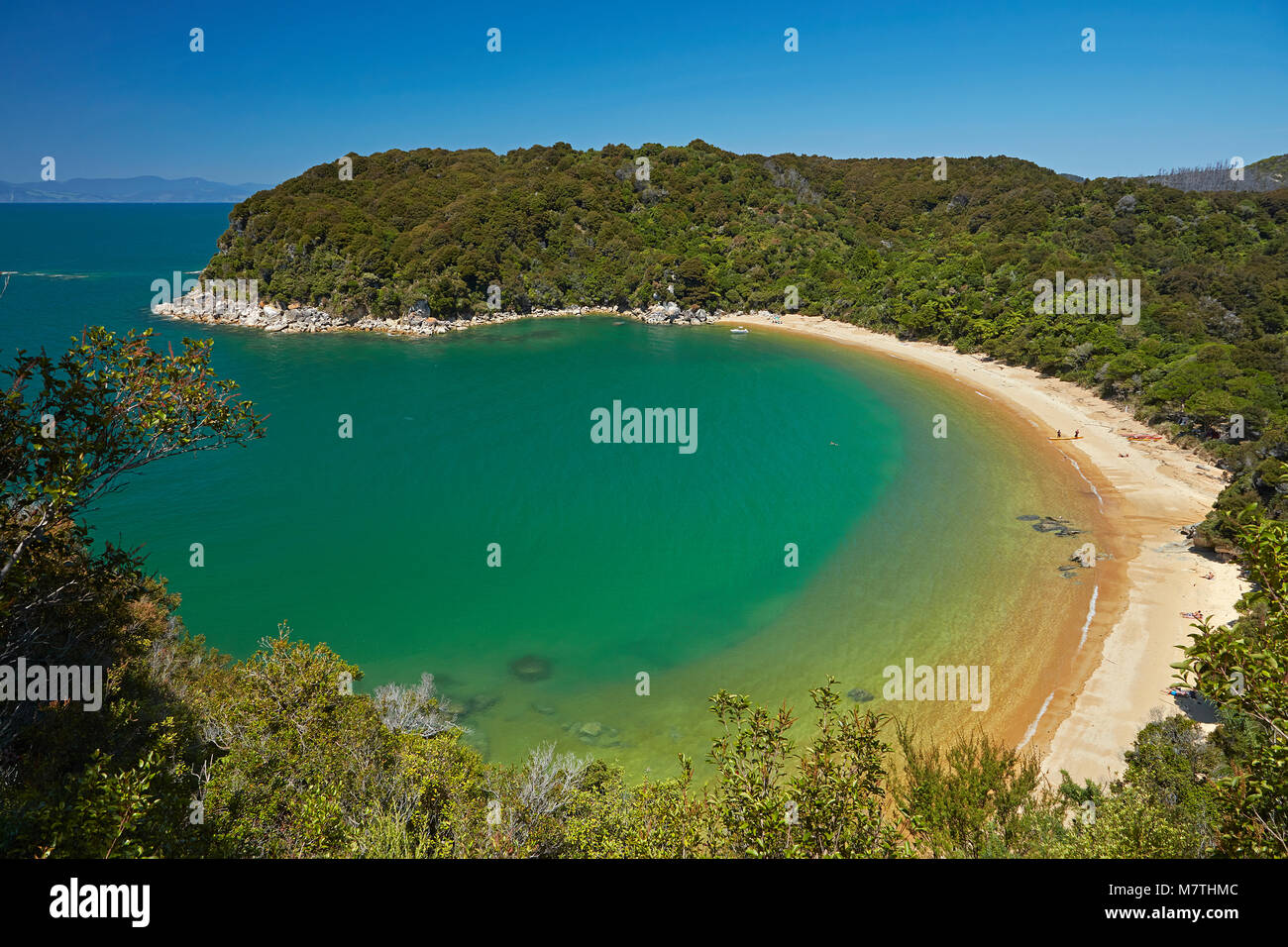 Te Pukatea Bay, parc national Abel Tasman, région de Nelson, île du Sud, Nouvelle-Zélande Banque D'Images