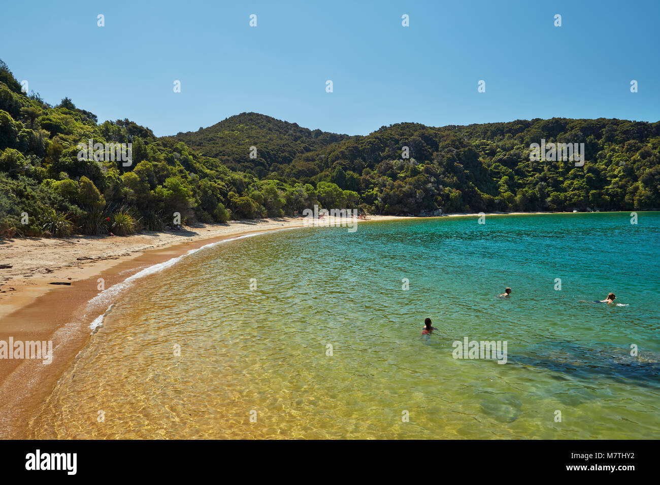 Les nageurs au Te Pukatea Bay, parc national Abel Tasman, région de Nelson, île du Sud, Nouvelle-Zélande (Modèle 1992) Banque D'Images