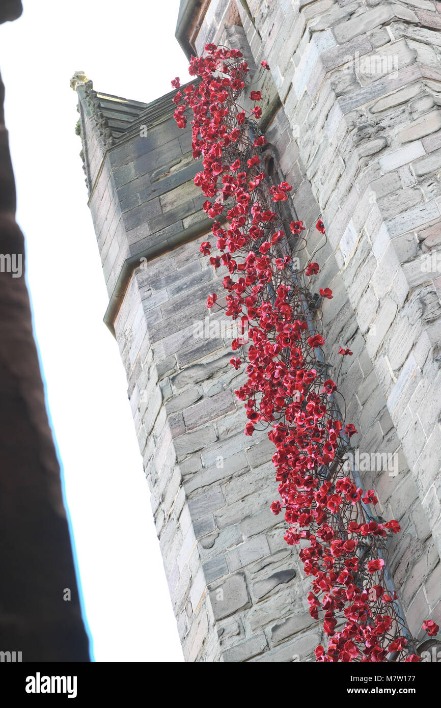 Cathédrale de Hereford - Mars 2018 - sculpture du coquelicot emblématique fenêtre pleurant par l'artiste Paul Cummins et designer Tom Piper ouvre à la Cathédrale de Hereford, dans le cadre de la dernière année de la Première Guerre mondiale 14-18 maintenant centenaire art project. Près de 6 000 coquelicots en céramique individuels découlent d'une fenêtre du haut vers le bas à la terre. L'exposition sera à la Cathédrale de Hereford au 29 avril 2018. Photo Steven Mai / Alamy Live News Banque D'Images