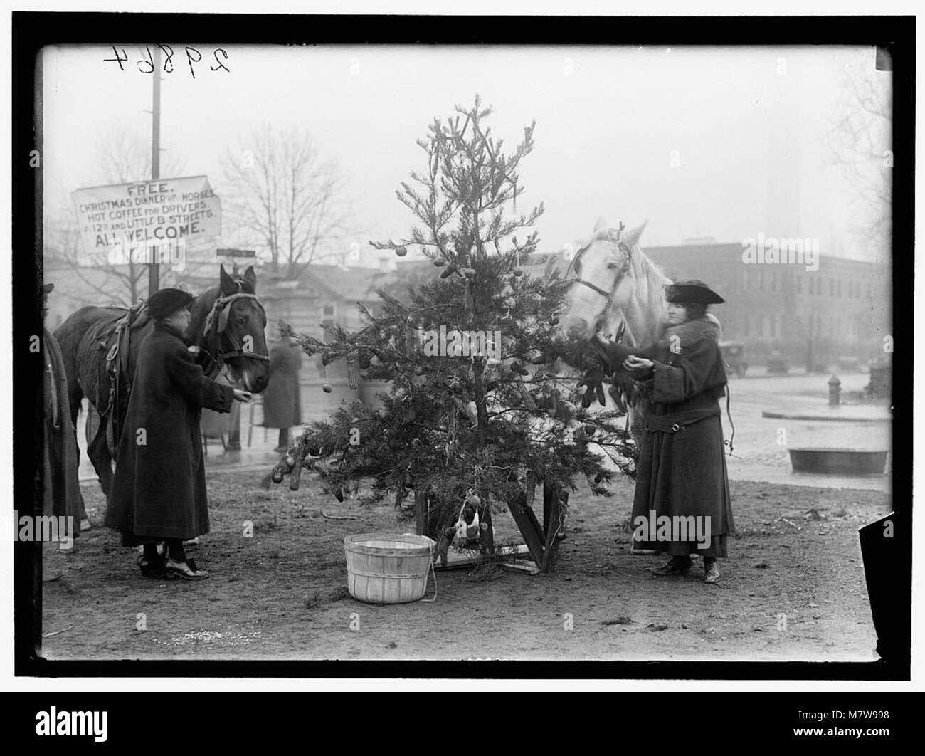 Une scène festive avec un arbre de Noël conçu pour les chevaux, mettant en évidence une tradition de vacances impliquant des animaux, peut-être dans une ferme ou dans une écurie. Banque D'Images