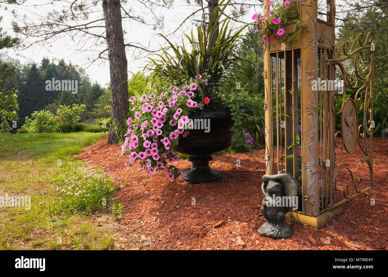 Close-up de grenouille statue à côté de pilier sur golden gate en fer forgé metal arbour décoré de pétunias rose, noir semoir avec Petunia x hybrida Banque D'Images