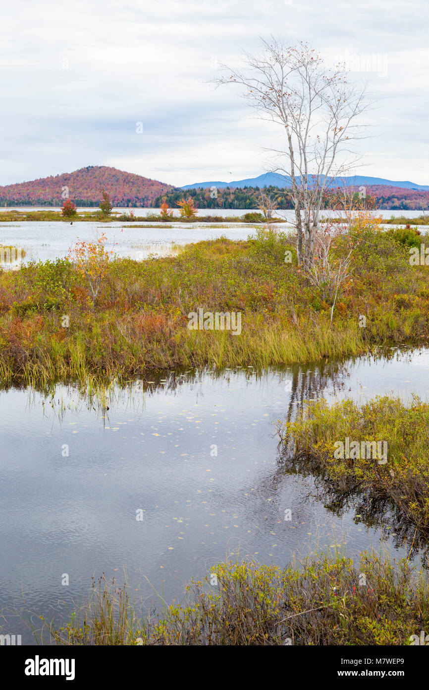 Tupper Lake en feuillage d'automne, l'État de New York, USA. Banque D'Images