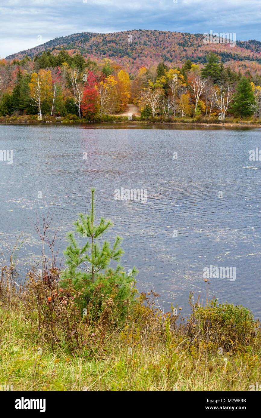 Simon étang, rivière Raquette, de l'État de New York, USA. Vues des feuilles d'automne le long de la State Highway 30. Banque D'Images