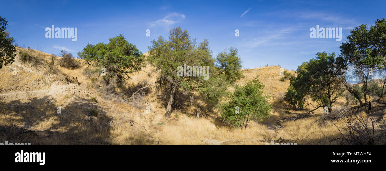 Panorama d'un sentier de randonnée qui traverse des canyons de Santa Clarita en Californie. Banque D'Images