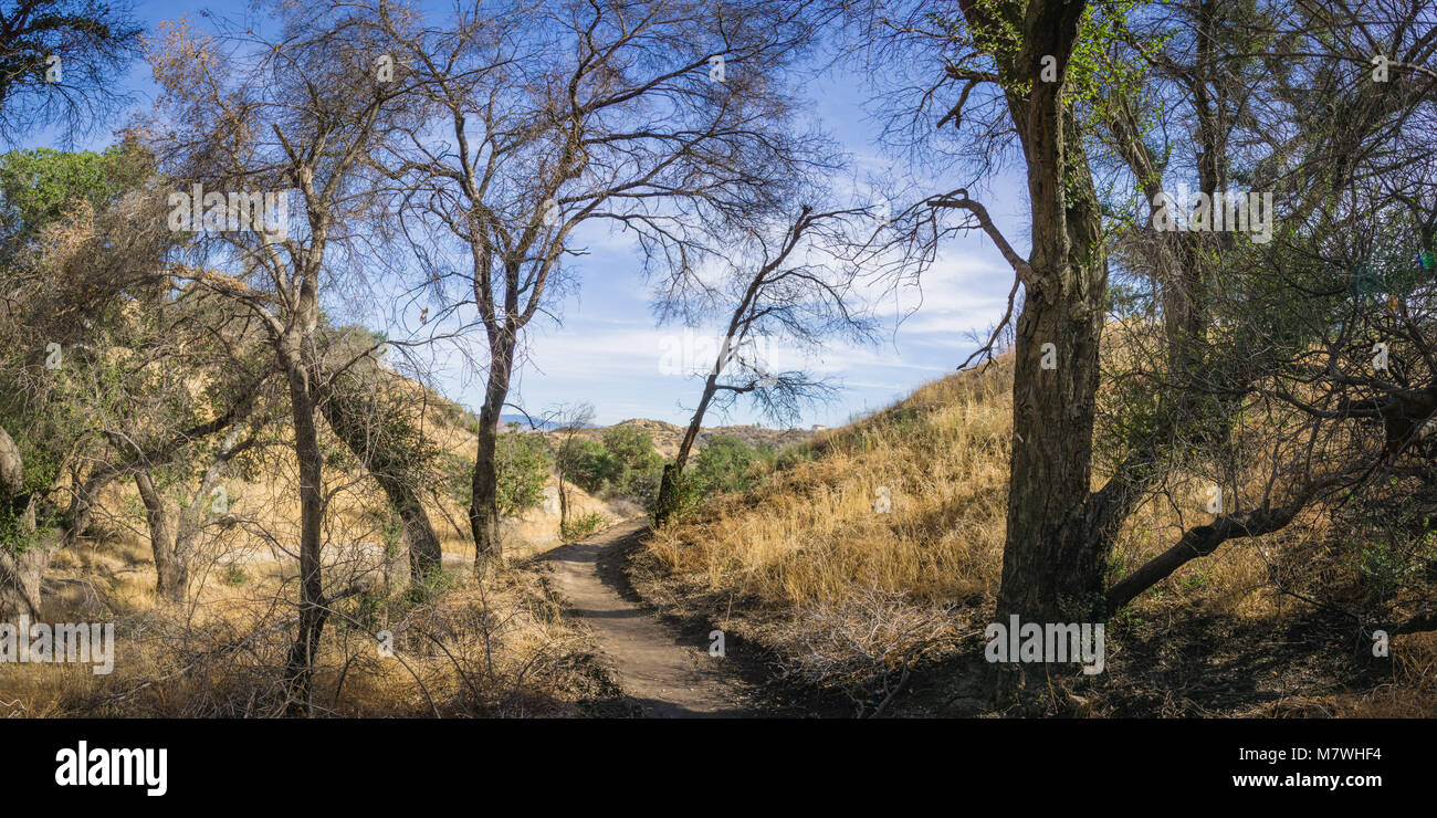 Sentier de randonnée mène à travers les canyons et les vallées du sud de la Californie. Banque D'Images