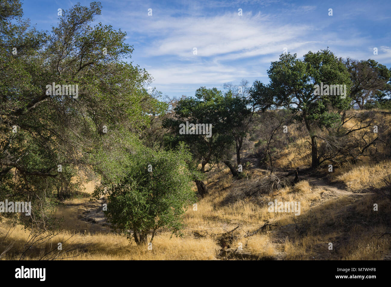 Canyon naturel dans le désert de Californie du sud à l'extérieur de Los Angeles. Banque D'Images