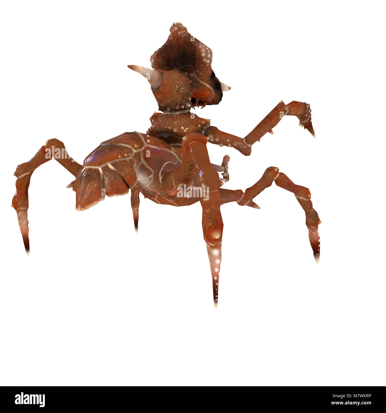 Insectes 3d monster crabe vue arrière. Banque D'Images