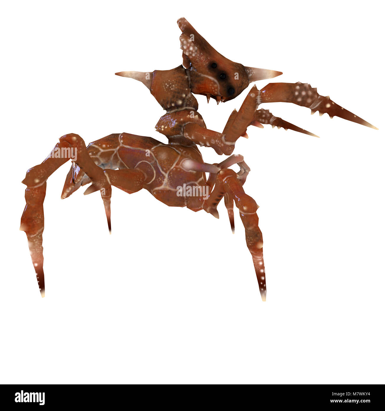 Insectes 3d monster crabe Vue de côté. Banque D'Images