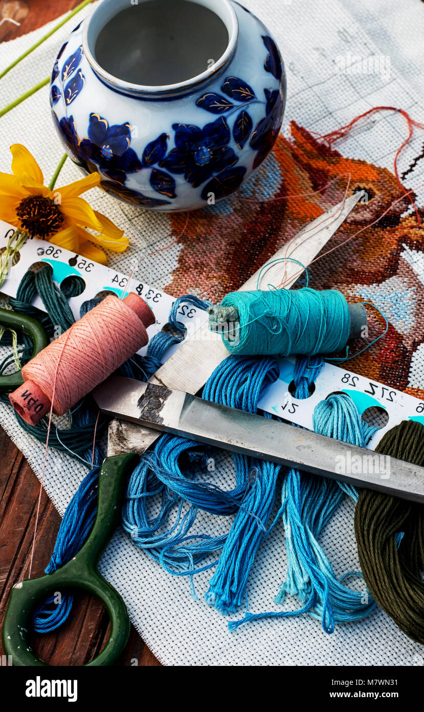 Outils et accessoires pour la couture et broderie Banque D'Images