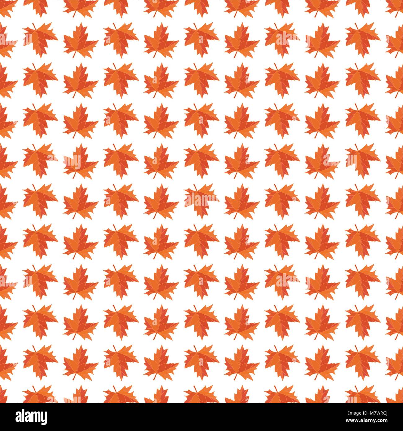 Transparente avec motif vecteur contour automne feuilles sur fond blanc Illustration de Vecteur