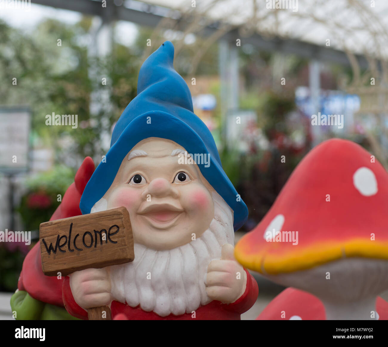 Jardin anglais gnome avec un panneau de bienvenue avec chapeau bleu veste rouge et barbe blanche et toadstool Banque D'Images