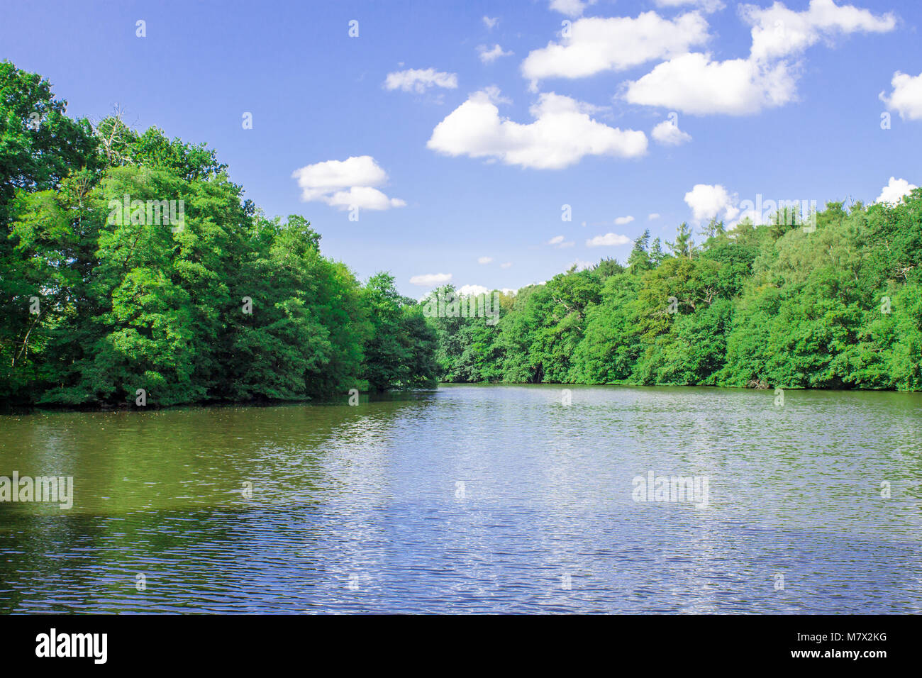 WINDSOR, Royaume-Uni -28th May 2016 : Virginia Water Lake au Windsor Great Park à Windsor est un lac artificiel qui a élargi à partir d'un flux en 1746. Banque D'Images