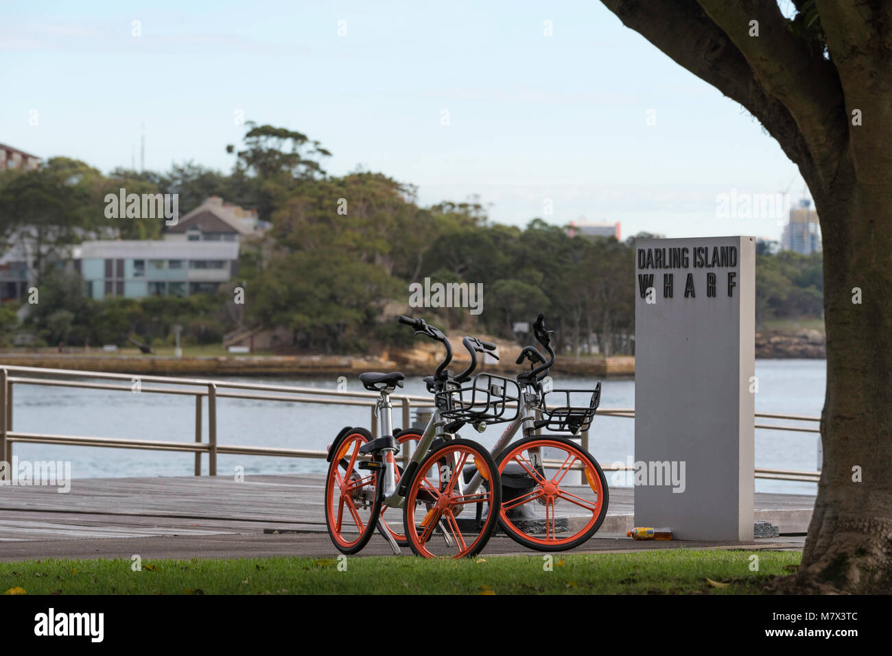 L'une des nombreuses nouvelles voitures vélos à Sydney est en attente d'être loués à Darling Harbour Sydney à côté du quai de l'île Banque D'Images