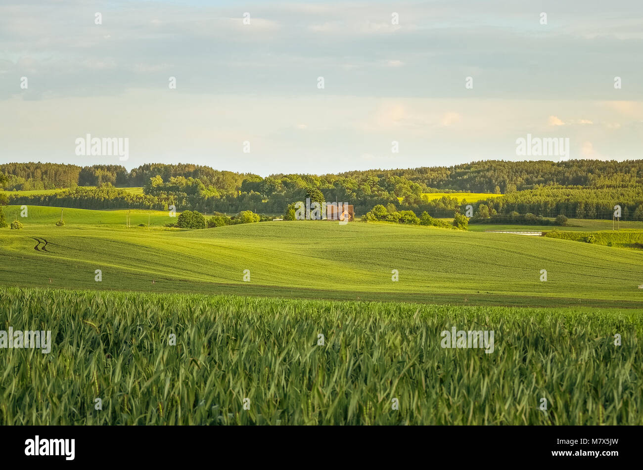 Paysage d'été - Pologne Warmia Banque D'Images