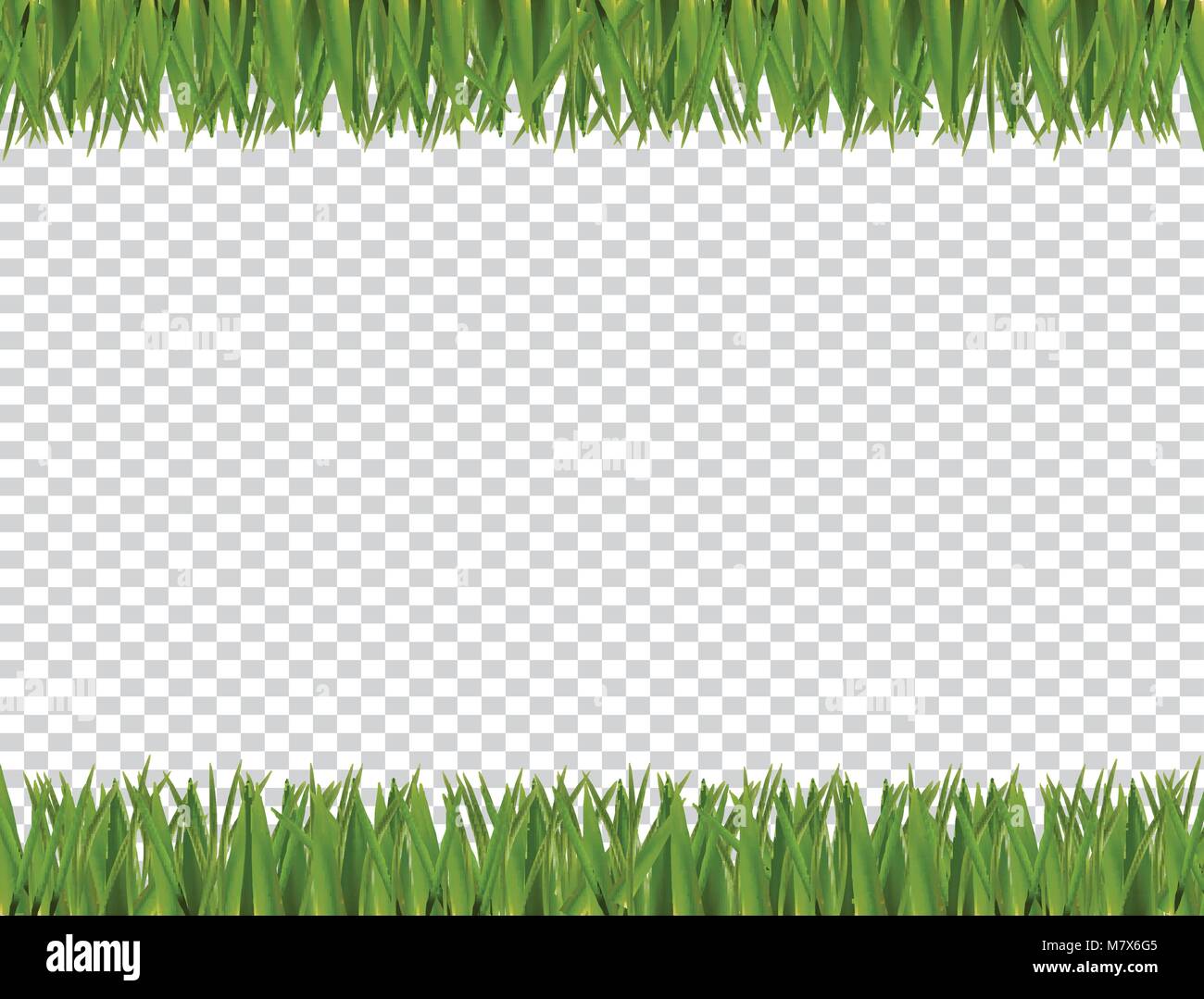 L'herbe verte horizontale réaliste border frame isolé sur fond transparent avec copie espace vide pour le texte. Printemps ou été vector Illustration Illustration de Vecteur