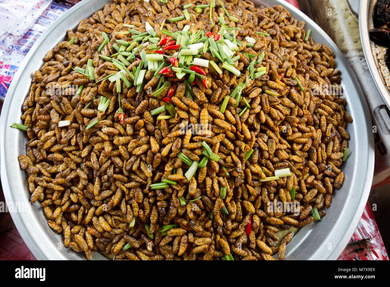 Cambodge - marché alimentaire de pupes d'insectes pour l'alimentation sur un food, Skuon marché d'insectes, Kampong Cham, Cambodge Asie Banque D'Images