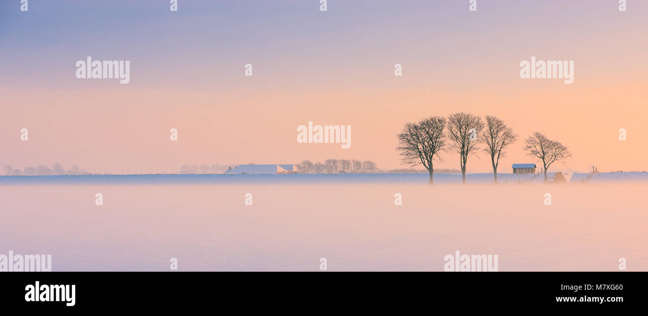 L'hiver en Hollande dans les Kroonpolder près de Drieborg, loin au nord du nord de la province de Groningen, Pays-Bas Banque D'Images