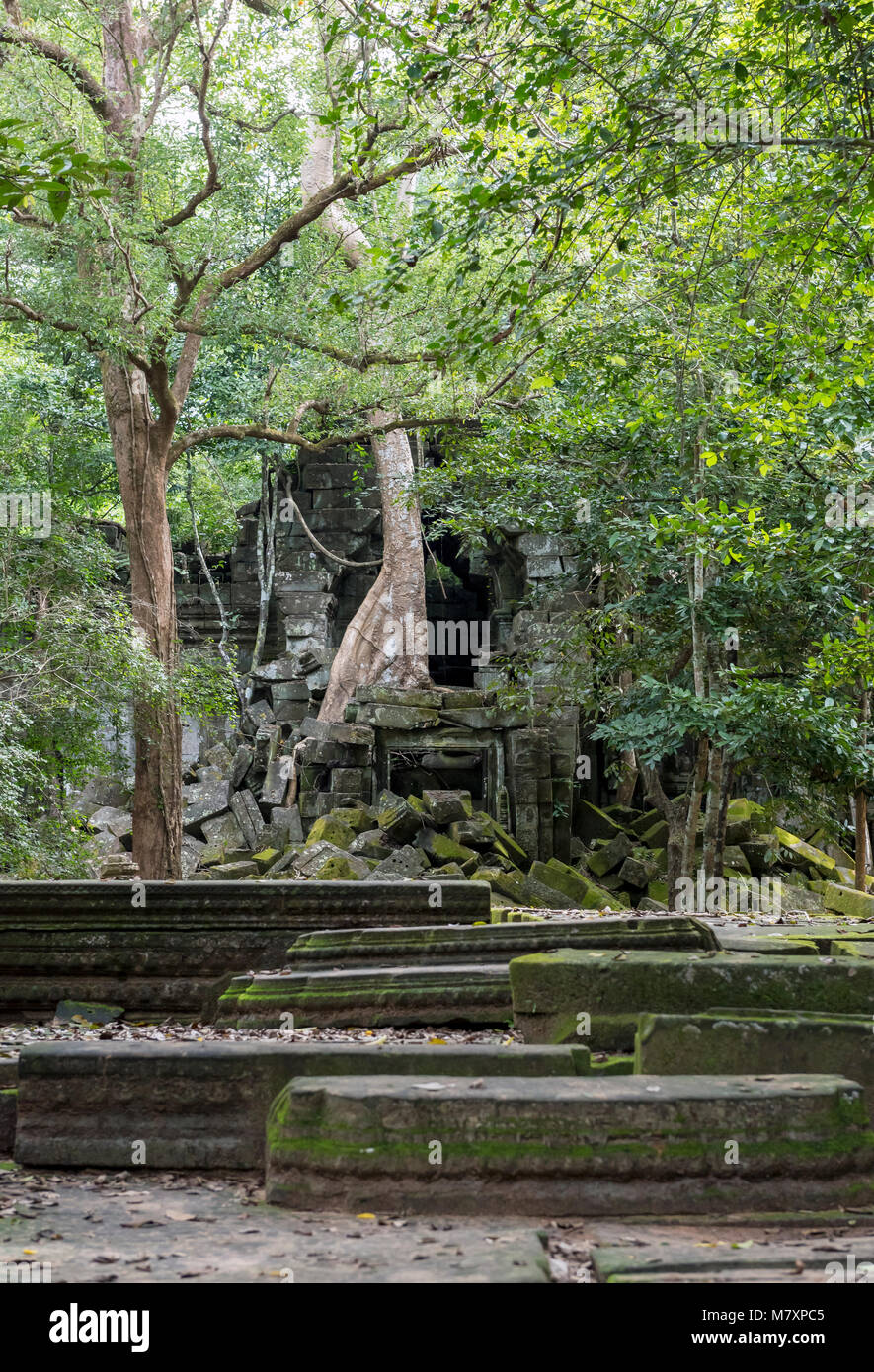 Prasat Beng Mealea Temple, Cambodge Banque D'Images