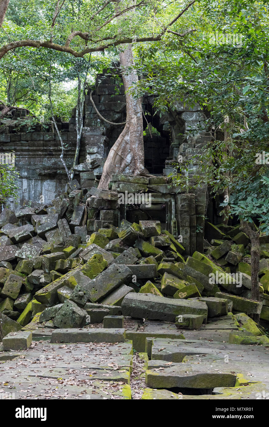 Prasat Beng Mealea Temple, Cambodge Banque D'Images