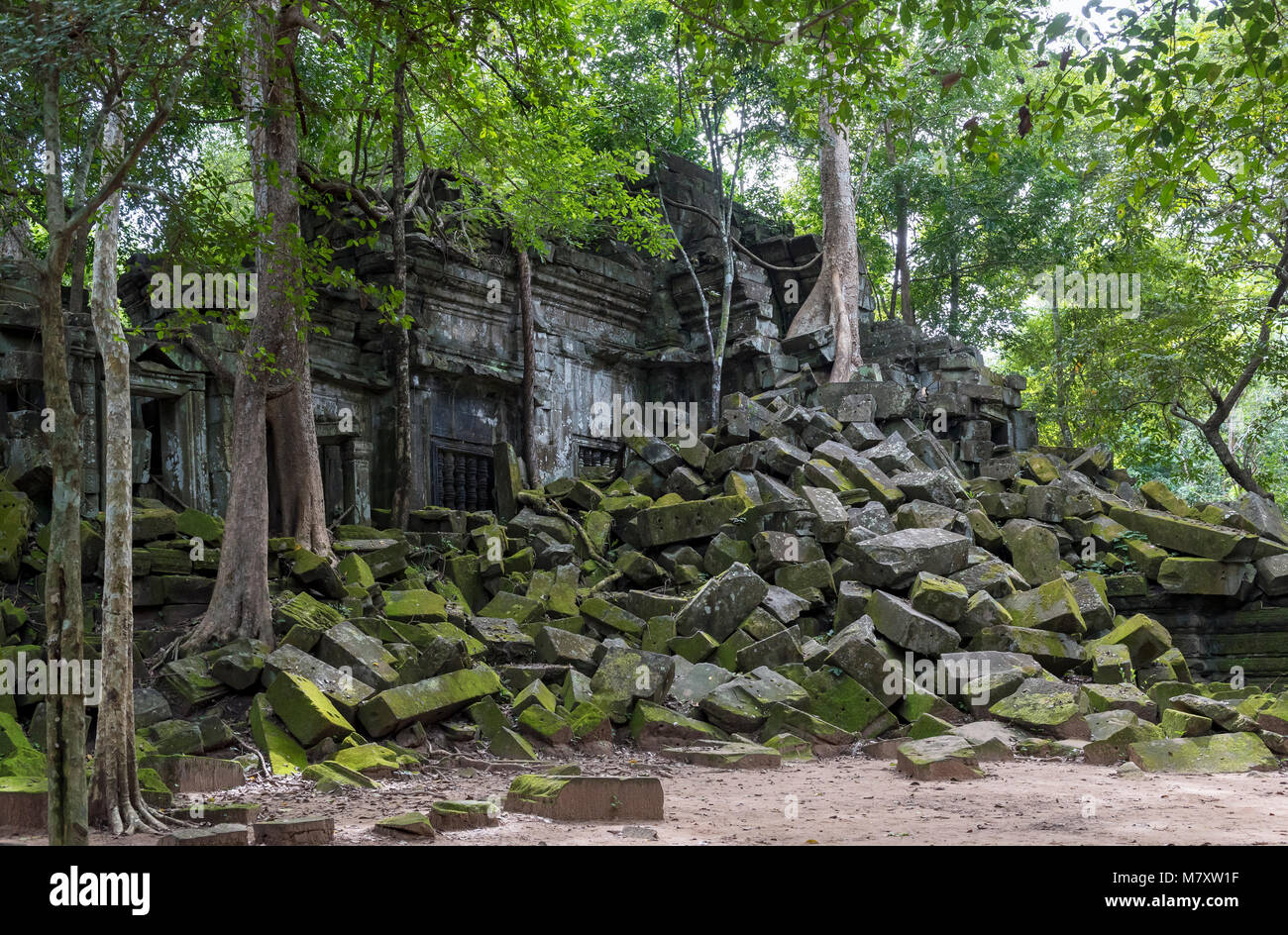 Prasat Beng Mealea Temple, Cambodge Banque D'Images