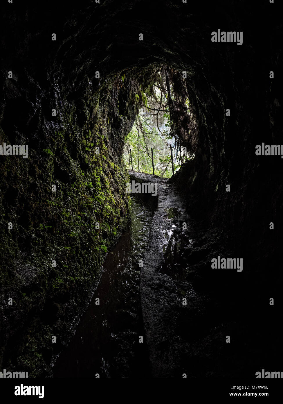 Tunnel à Madère Levada Banque D'Images