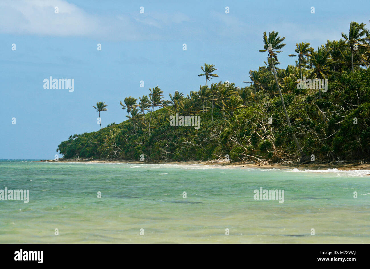 L'île de Lifuka. îles Ha'apai. Tonga. Polynésie française Banque D'Images