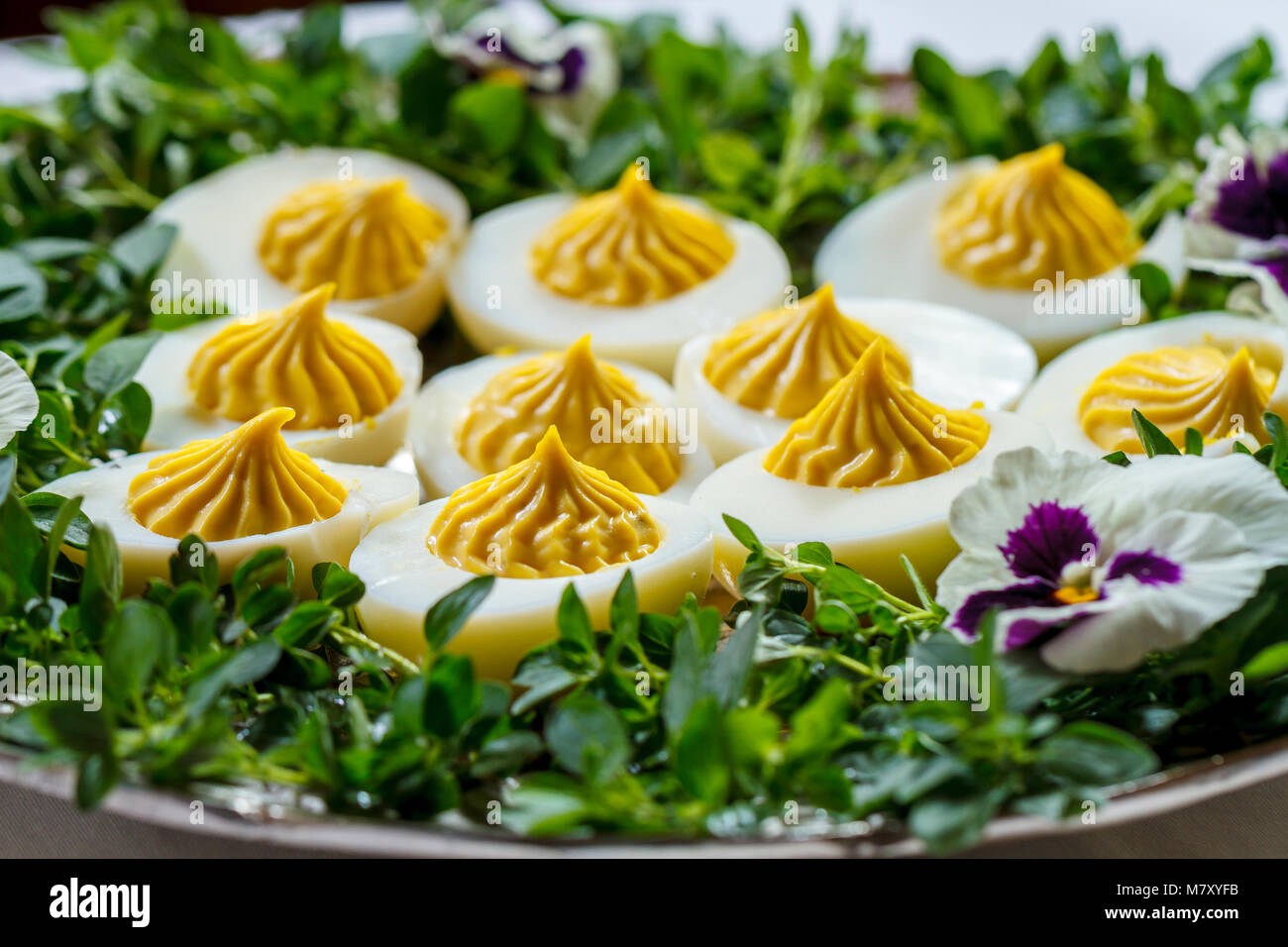 Oeufs farcis gastronomique plaqué Banque D'Images