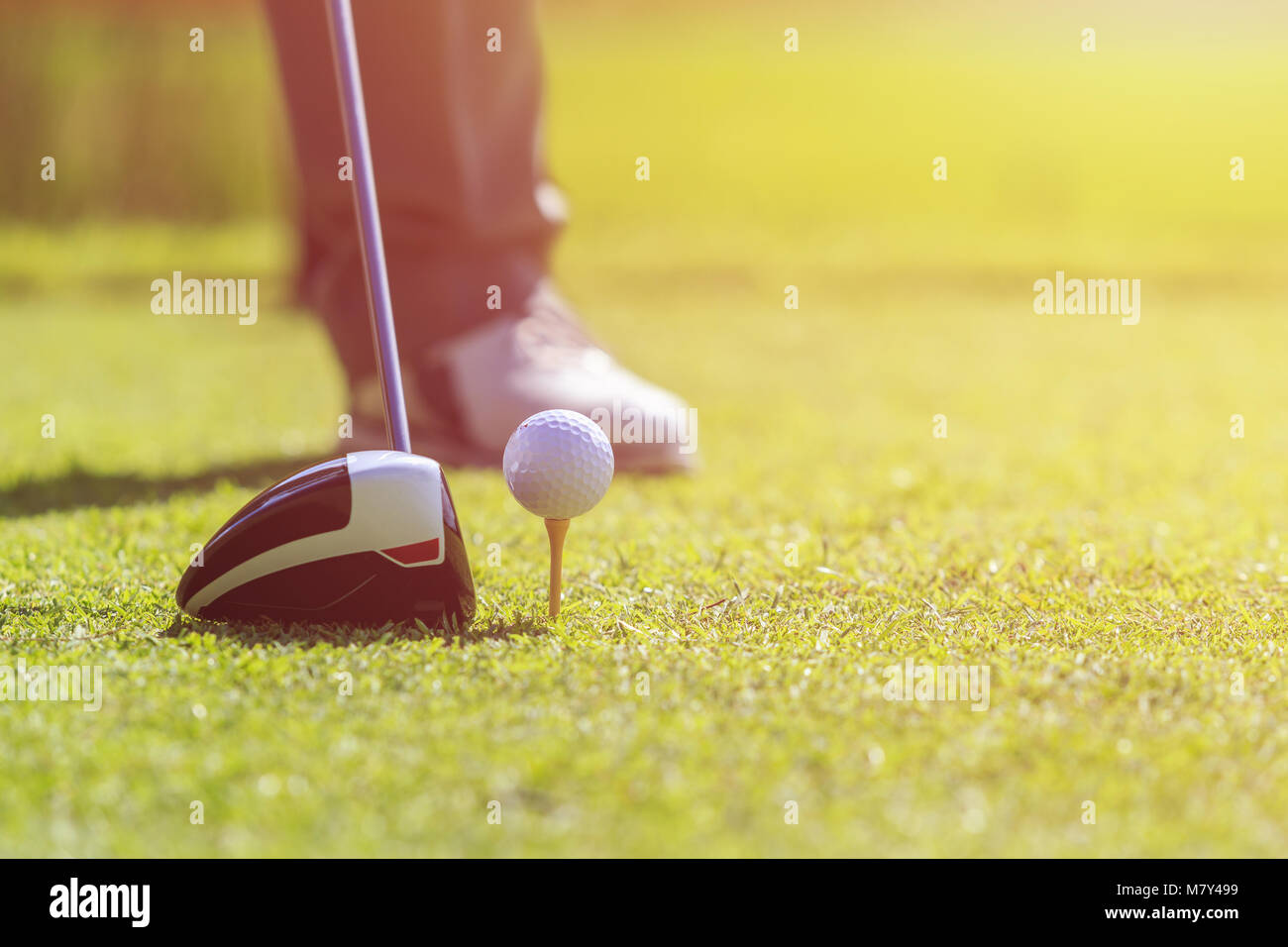 Joueur de golf. Un homme jouant le golf en vert bien sûr. L'accent sur balle de golf Banque D'Images
