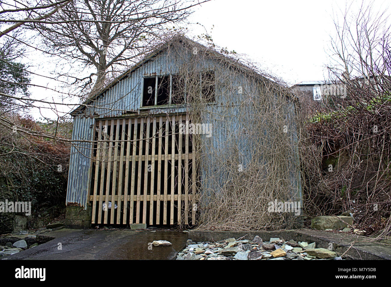 Ancien hangar à bateau envahi par pourrir. Banque D'Images