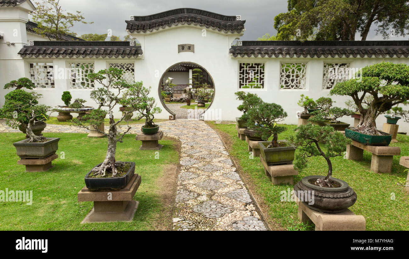 Collection Jardin de bonsaïs, les jardins chinois, Singapour Banque D'Images