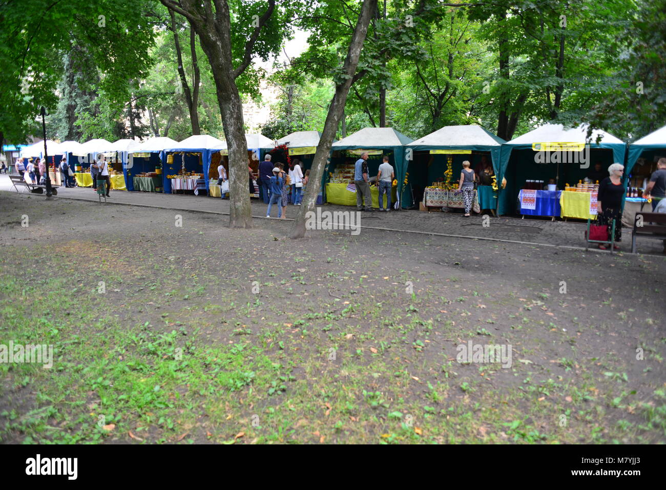 Kharkiv, Ukraine. Foire de miel et autres produits apicoles dans le parc de Shevchenko Banque D'Images