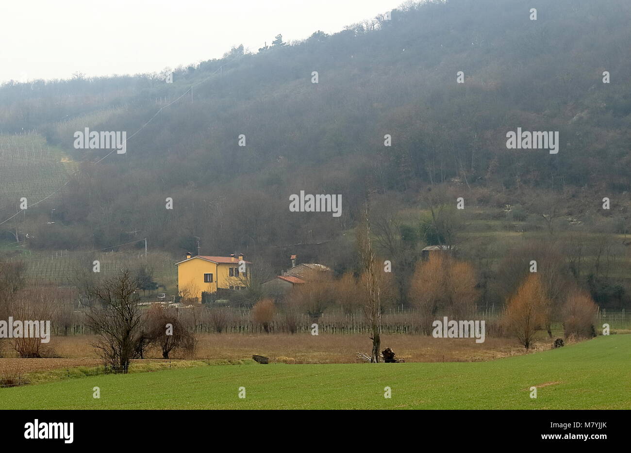Panorama de beaux paysages de collines Euganéennes Parc Régional, Italie Banque D'Images