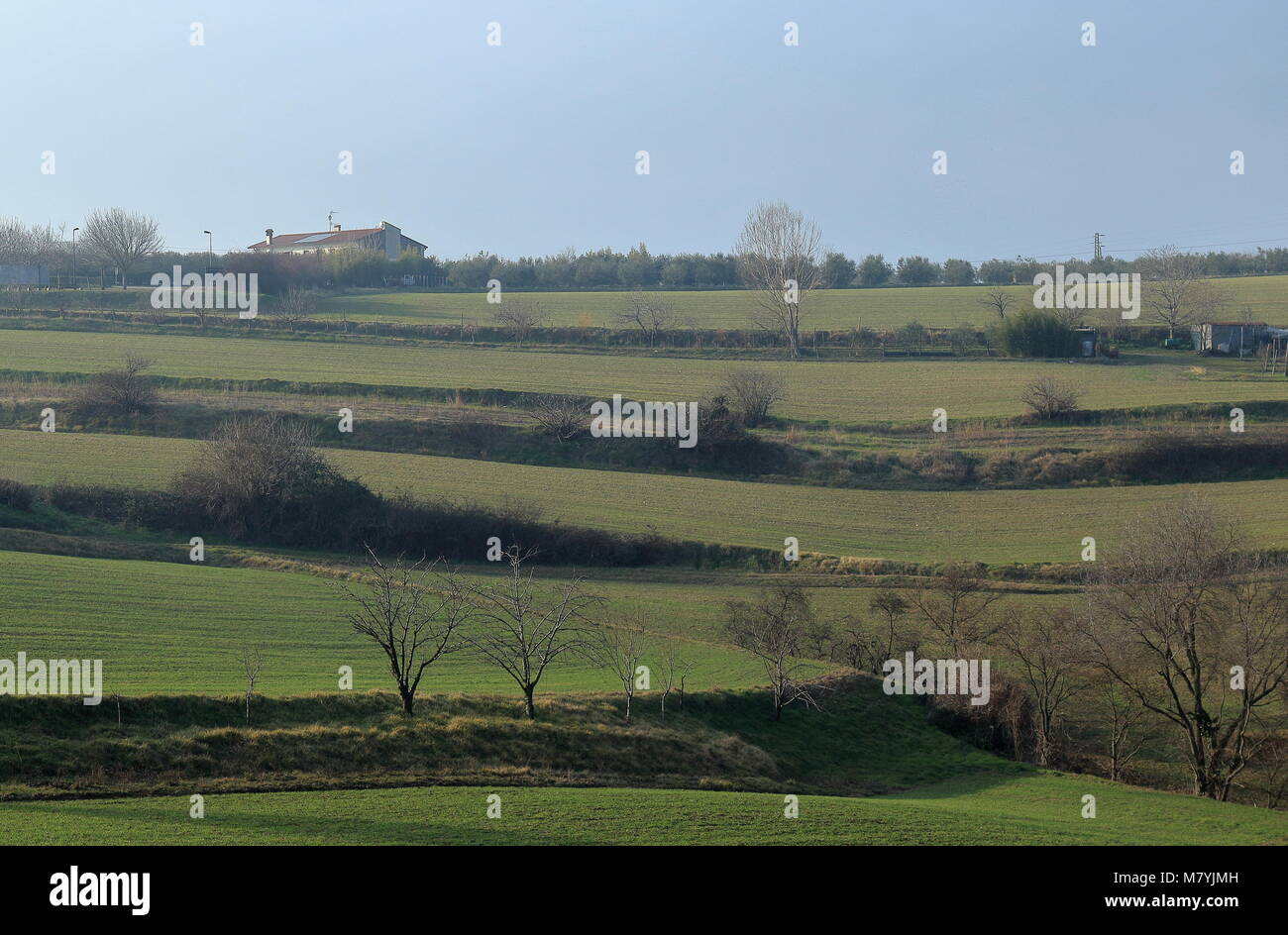 Panorama de beaux paysages de collines Euganéennes Parc Régional, Italie Banque D'Images